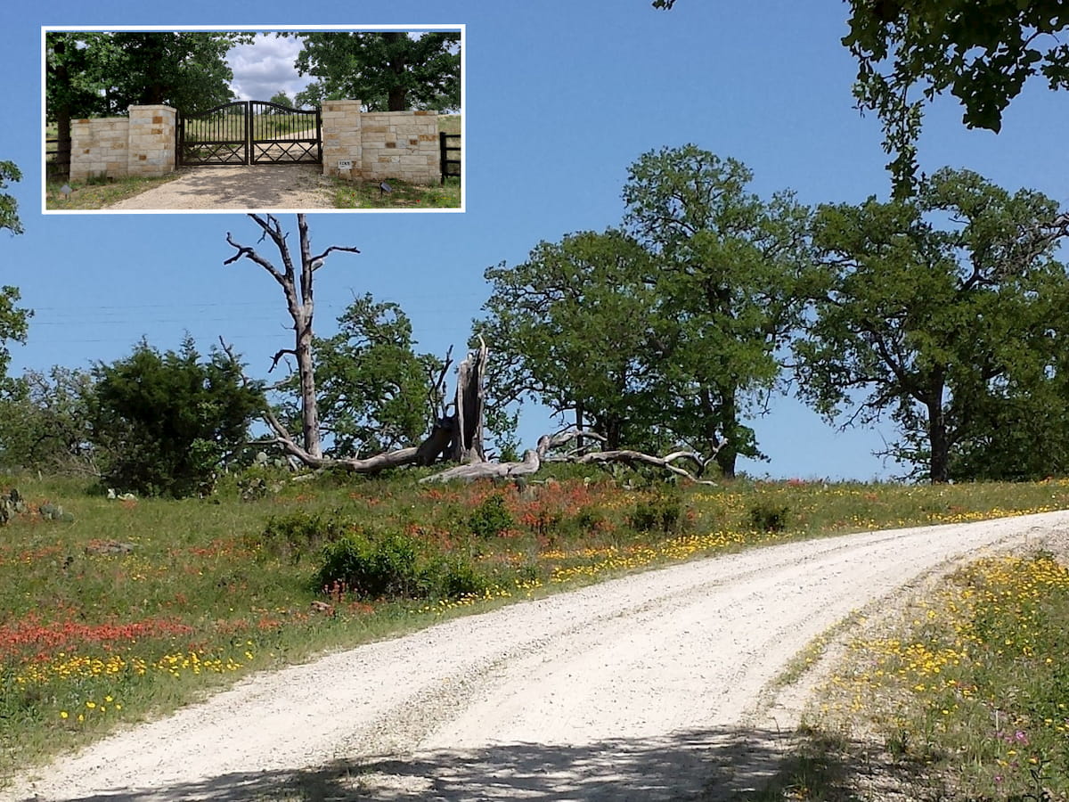 The gravel drive leading up to Porter Haus, lined with Texas wildflowers